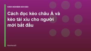 Read more about the article Cách đọc kèo châu Á và kèo tài xỉu cho người mới bắt đầu